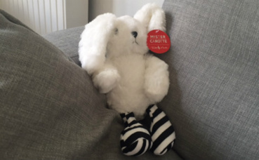 Photo (c) Cécile Domergue Photo (c) Cécile Domergue