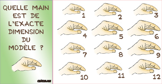 JEU d'observation du 26 octobre 2008