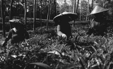 Photo (c) Céline Blervacque Photo (c) Céline Blervacque