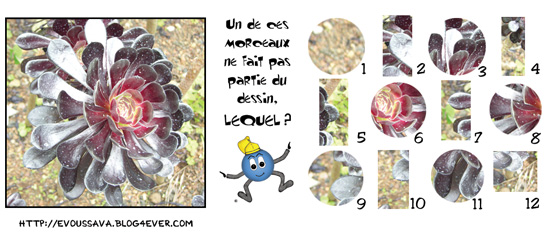 JEU d'observation du 22 novembre 2008