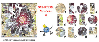 SOLUTION  JEU d'observation du 22 novembre 2008