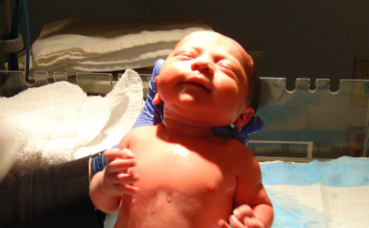 Illustration. Photo libre de droit. Illustration. Photo libre de droit.