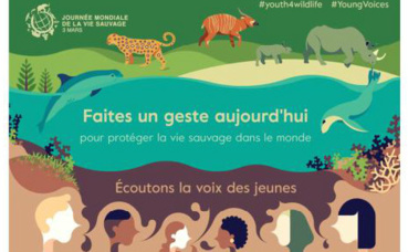 Cliquez ici pour télécharger la brochure CITES Cliquez ici pour télécharger la brochure CITES