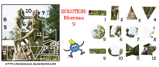 SOLUTION du jeu d'observation du 14 décembre 2008