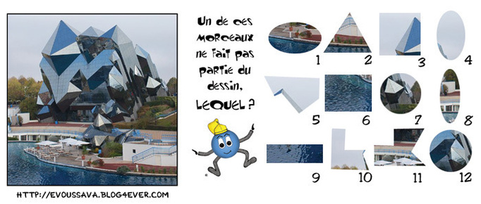 Jeu d'observation du 19 janvier 2009