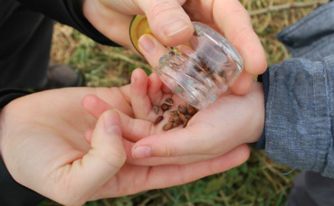 Illustration. Image du domaine public. Illustration. Image du domaine public.