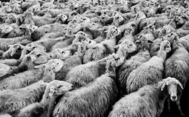 Illustration. Image du domaine public. Illustration. Image du domaine public.