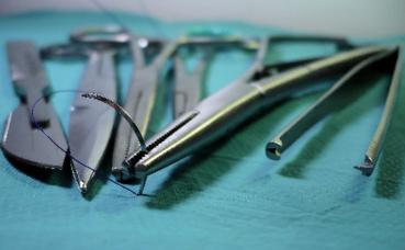 Illustration. Image libre de droits Illustration. Image libre de droits