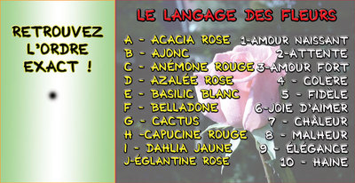 JEU d'observation du 26 mars 2009