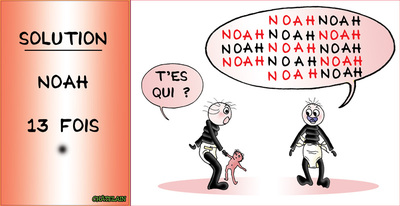 SOLUTION du JEU d'observation du 12 avril 2009