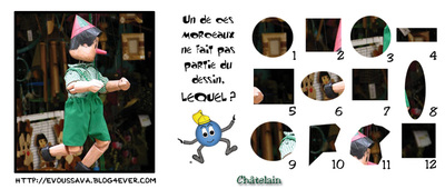 JEU d'observation du 24 avril 2009