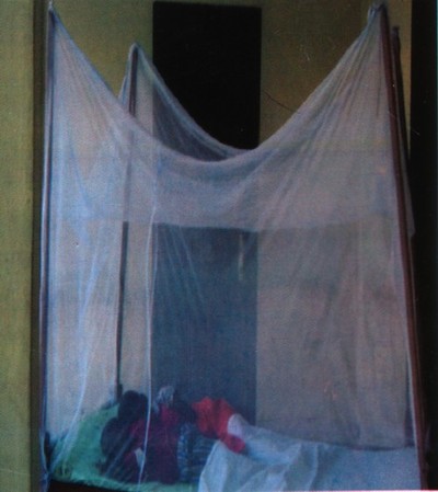le moustiquaire imprégné : une solution à démocratiser (photo: PNLP)