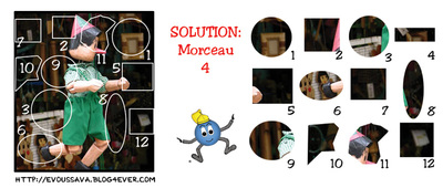 Solution du jeu d'observation du 24 avril 2009