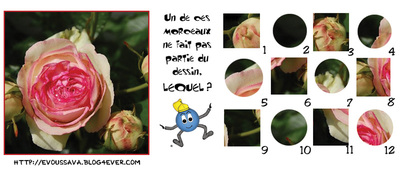 Jeu d'observation du 2 juin 2009