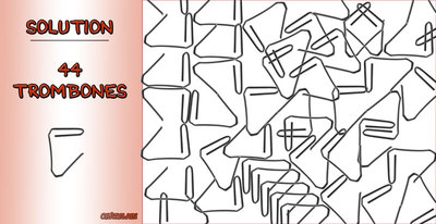 Solution du JEU d'observation du 19 juin 2009