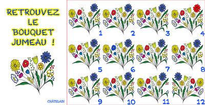 JEU d'observation du 28 juin 2009