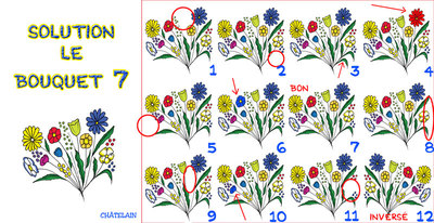 Solution du JEU d'observation du 28 juin 2009