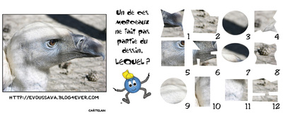 JEU d'observation du 9 juillet 2009