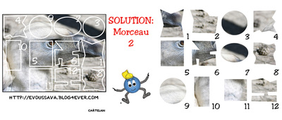 Solution du JEU d'observation du 9 juillet 2009