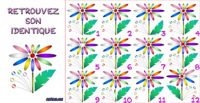 JEU d'observation du 3 août 2009