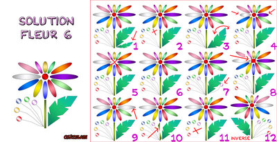 Solution du JEU d'observation du 3 août 2009