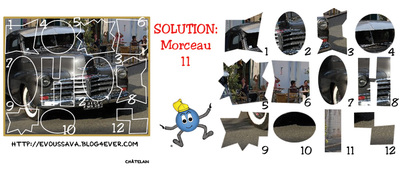 Solution du JEU d'observation du 14 août 2009