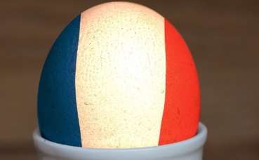 La Ve République: entre exécutif et législatif