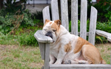 Illustration. Image du domaine public. Illustration. Image du domaine public.