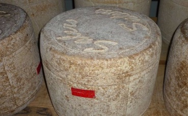 Photo (c) Robert Martin Wiki Photo (c) Robert Martin Wiki