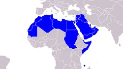 Ouverture du Bureau de Liaison : Ligue Arabe – Commission Européenne