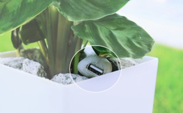 Cliquez ici pour accéder au site officiel Cliquez ici pour accéder au site officiel