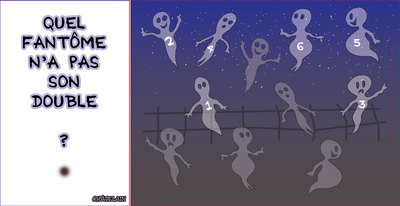 JEU d'observation du 4 novembre 2009