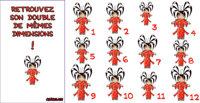 JEU d'observation du 17 novembre 2009