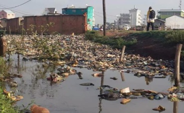 Photo (c) Élodie Melquiond Photo (c) Élodie Melquiond