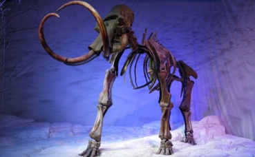 Photo (c) Hummelmose Photo (c) Hummelmose