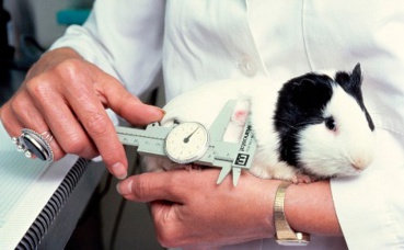 Illustration. Photo (c) Linda Bartlett Illustration. Photo (c) Linda Bartlett