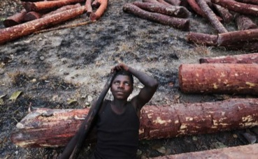 Photo courtoisie (c) Lu Guang. Cliquez ici pour visiter le site Photo courtoisie (c) Lu Guang. Cliquez ici pour visiter le site