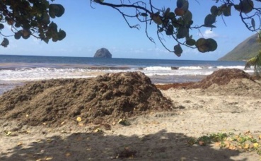 Photo (c) Linda Zaire Photo (c) Linda Zaire