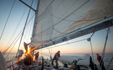 Photo (c) Sarah Fretwell / Tara Expeditions Foundation. Cliquez ici pour accéder au site officiel Photo (c) Sarah Fretwell / Tara Expeditions Foundation. Cliquez ici pour accéder au site officiel