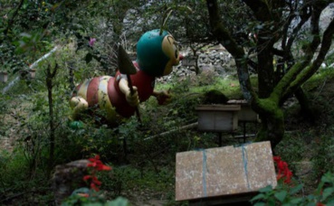 Photo prise par l'auteur au musée du miel dans les Cameron Highlands Photo prise par l'auteur au musée du miel dans les Cameron Highlands