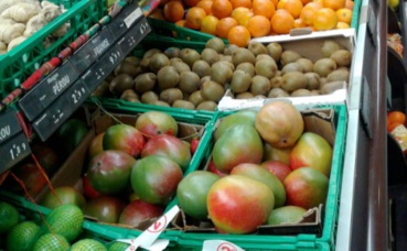 Photo (c) Sarah Barreiros Photo (c) Sarah Barreiros