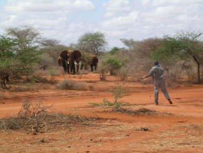 Cliquez sur l'image pour accéder au site officiel de la FAO Cliquez sur l'image pour accéder au site officiel de la FAO