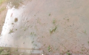 Fortes pluies et perturbations des réseaux électriques au Cameroun