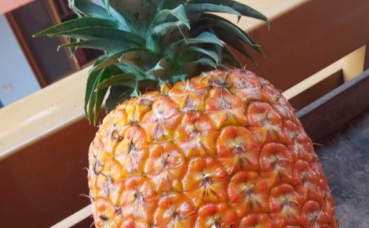 Photo prise par l'auteur Photo prise par l'auteur