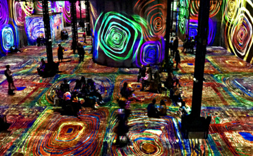 "Spiraless psychedeliques". Photo (c) Charlotte Service-Longépé "Spiraless psychedeliques". Photo (c) Charlotte Service-Longépé