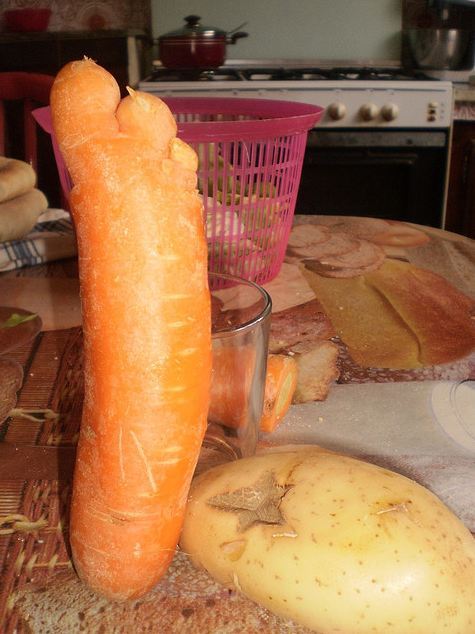 L'IMAGE DU JOUR: Pied de carotte
