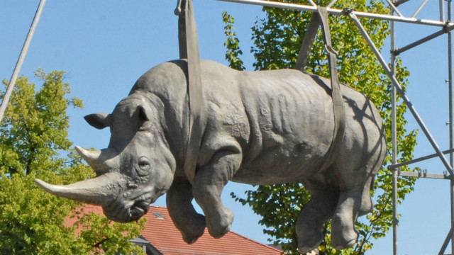 L'IMAGE DU JOUR: Rhinocéros suspendu