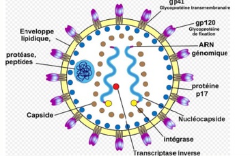 Illustration (c) atropos235 Illustration (c) atropos235