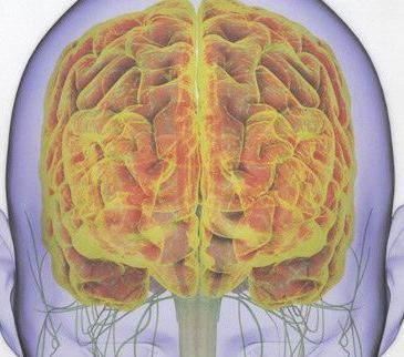 Nous avons un deuxième cerveau !