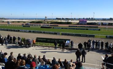 Un dimanche à l’hippodrome